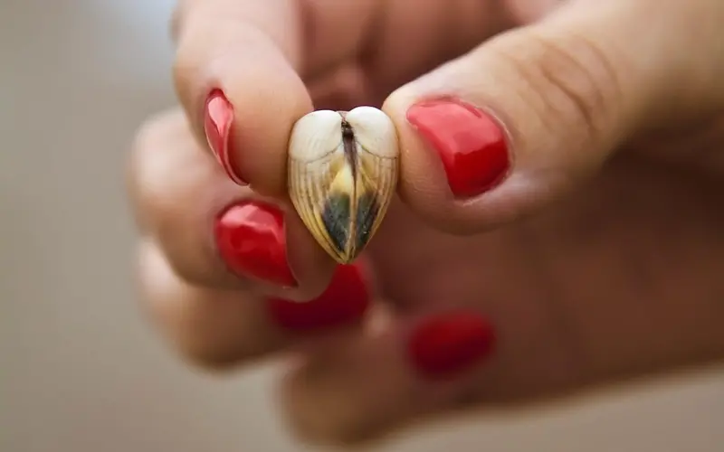 冷爱对你说：“我想跟你合个影。”