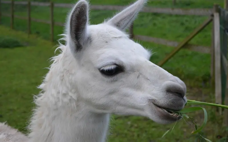 让女生主动回来找你，这招让她感动到不行