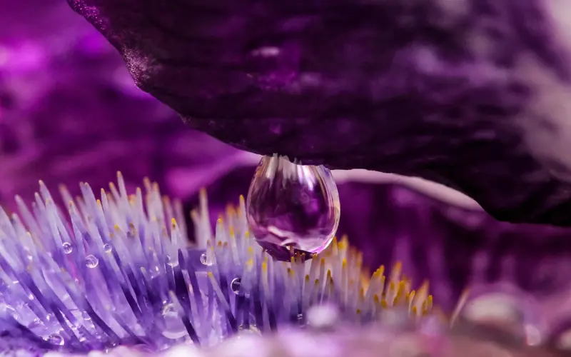 让女生主动，你只需要这样做