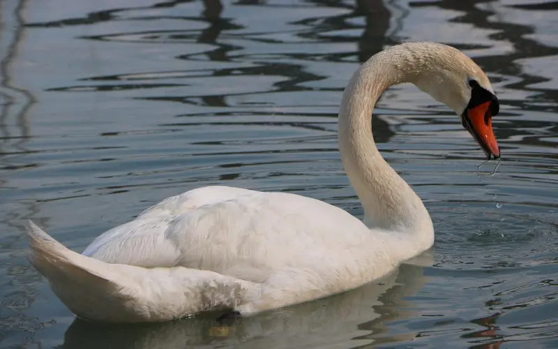 让小姐姐主动撩，只需要这样打扮，并拍出以下照片！