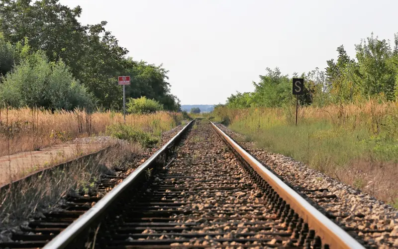 放过自己，也是一种放生！也是放过他人，强求是不可以的！