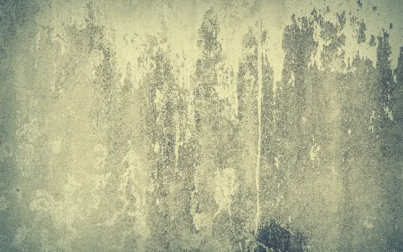 练爱|30岁单身女性，留一线还是回二线城市？