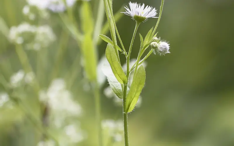 喜欢容易，因为五官。相处不易，因为三观