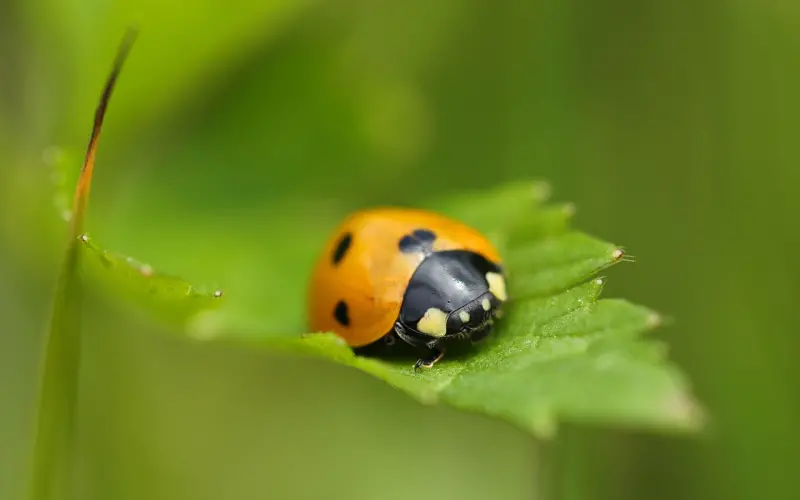 【百合爱情课堂】爱情中的7种伤你经历了几个