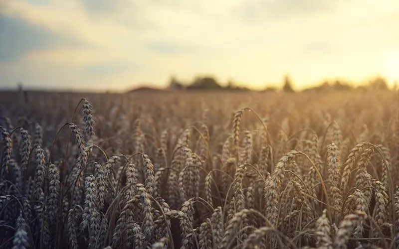 【百合爱情心理小测试】