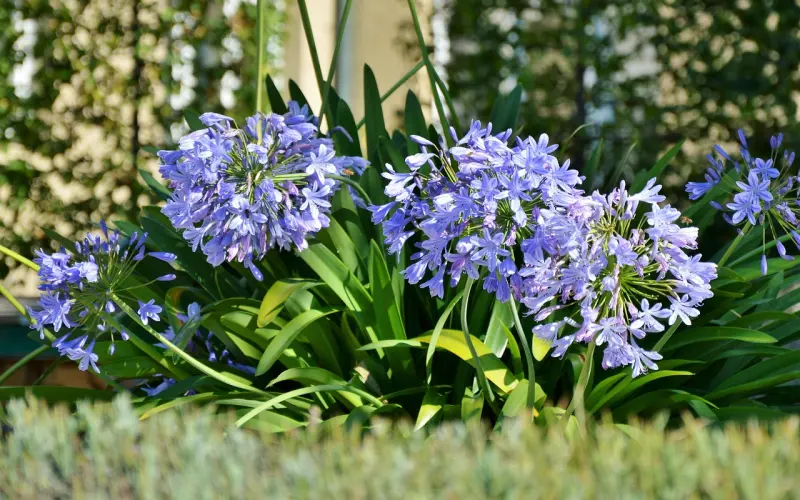 【百合暖文章】不合适的爱情你敢要吗？