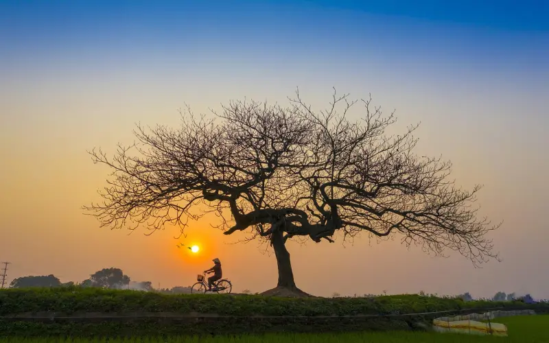 孤独是人的宿命，我愿意陪着你孤独