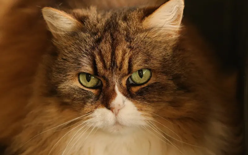 异地恋：伴侣要的安全感，到底该怎么给？