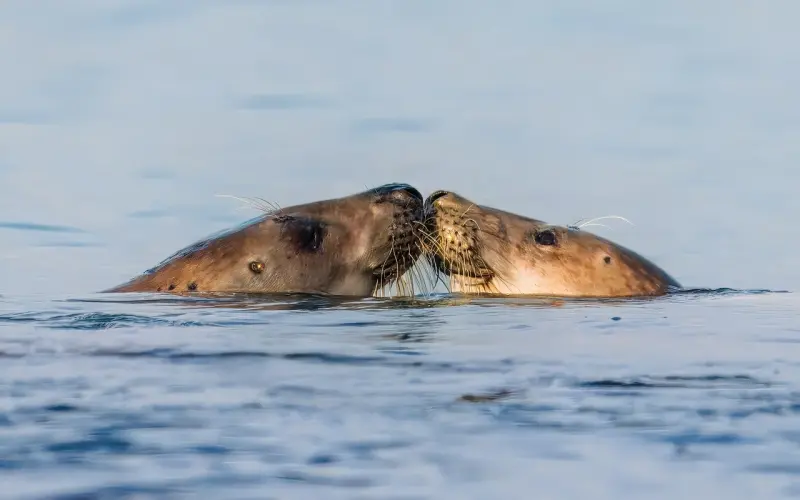 《冷眼观爱011 · 你所得到的，就是你的行为带来的。》