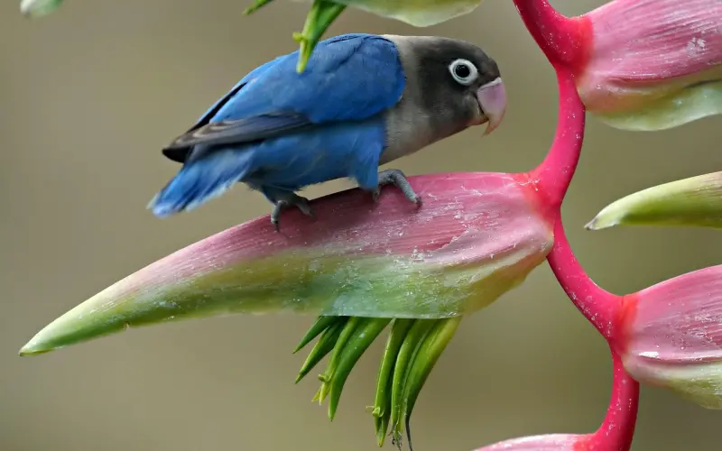 爱情，不需相信，只需遇见。（十句话告诉你，什么是爱情）