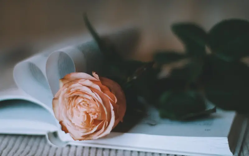 【感爱教育】微信被拉黑了怎么加回来