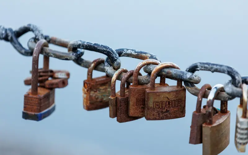 爱情这门功课，很多人都曾挂科重修