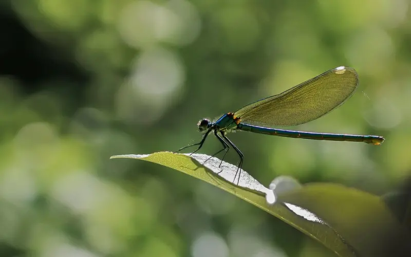 爱情不是说说而已