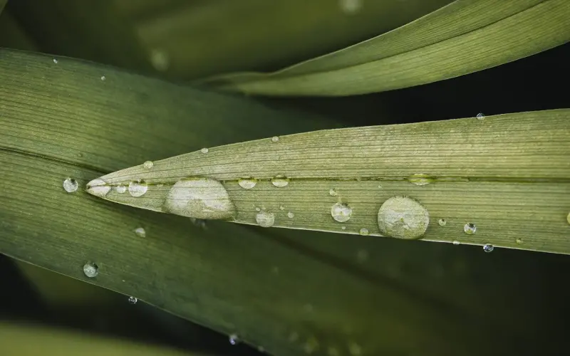 恋爱心理学：女人有这3种表现，说明她表面不想你，其实很想你