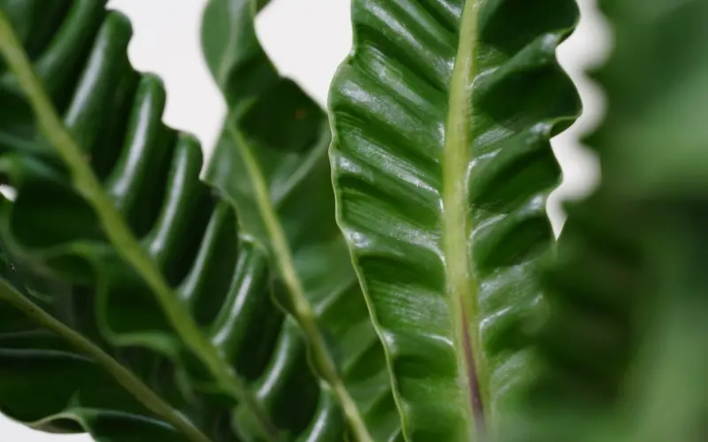 恋爱心理：为什么很多女生追男生追到一半就不追了？