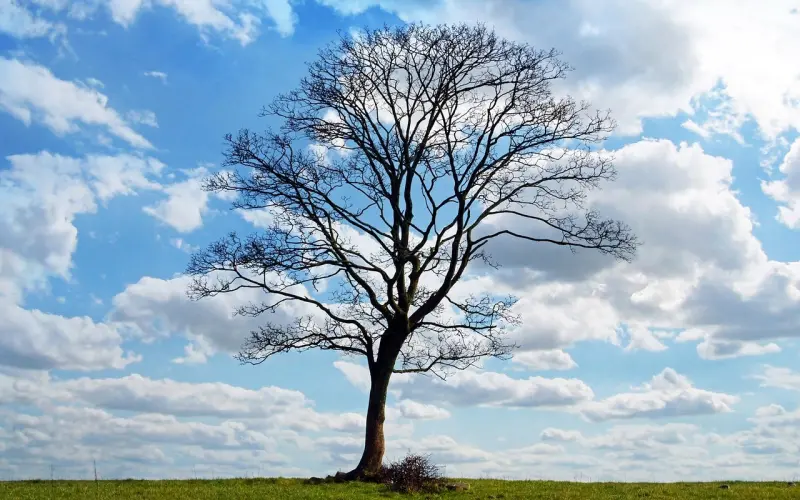 爱情挽回：裸婚，父母不同意，我们该如何继续