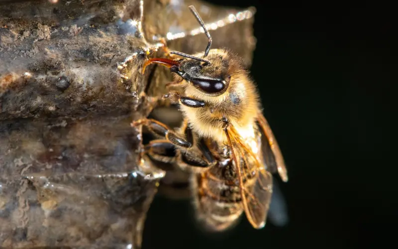 爱情挽救之其实他跟你分手早已经被确定