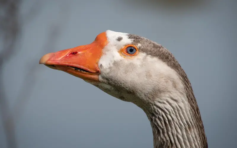 「爱情秘籍」如何分手