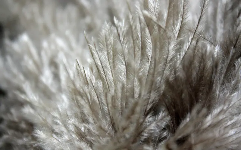 爱情成功学：勇敢的爱，是让对方懂得你的脆弱