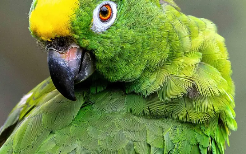 马国明和黄心颖分手，这种女人值得挽回吗？