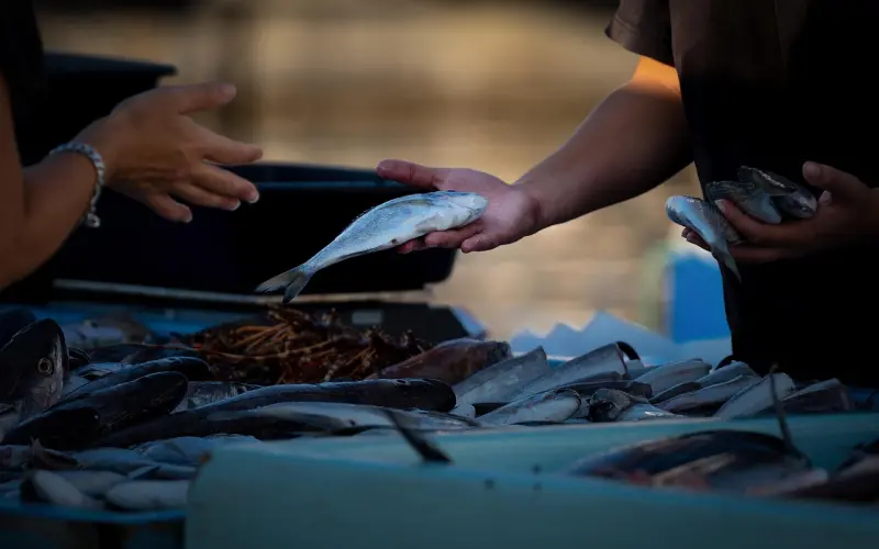 暗访红灯区，看看这些卖身不卖灵魂的姑娘们……