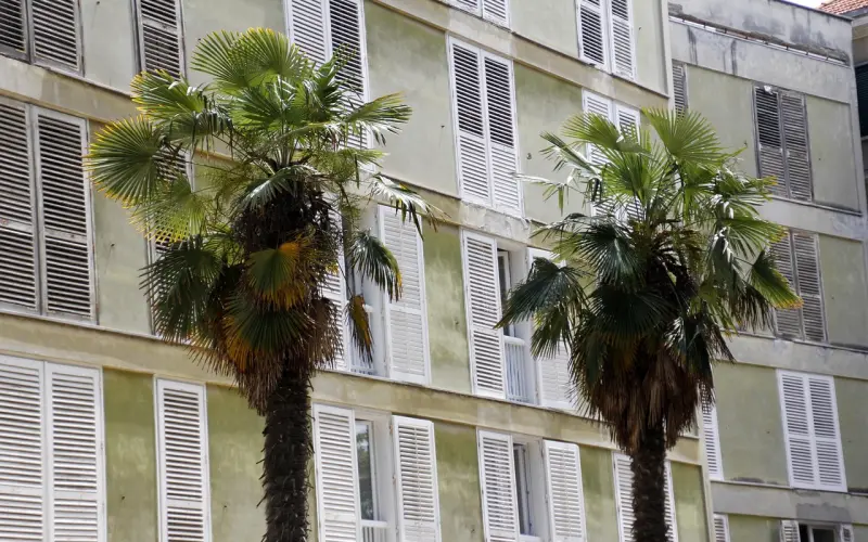 用好这10招“攻心计”，自然两个人爱到无法自拔！