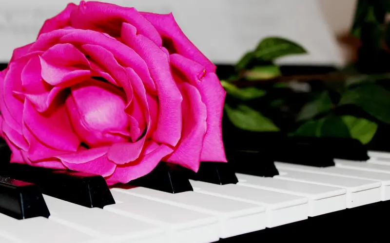 用情怀做音乐，感受最美好的生活