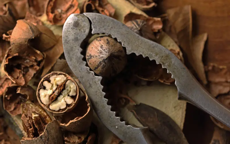 管理好你的期望值，将爱情紧握手中