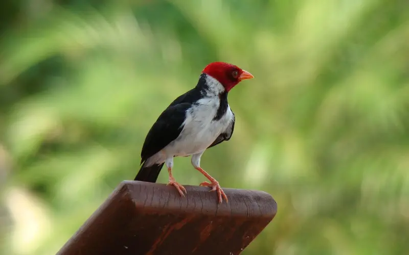 很多时候，女人更想要你爱，等着急了，肯定会这样去暗示你！
