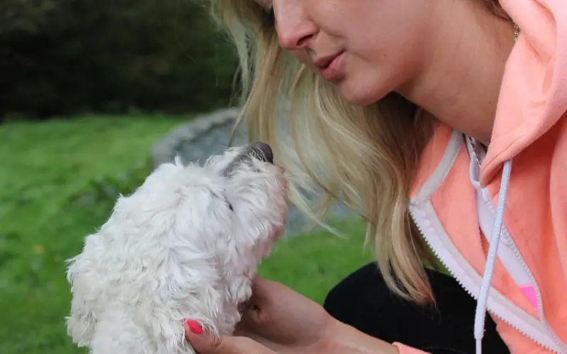 婚姻咨询：夫妻之间如何做到相互尊重和理解