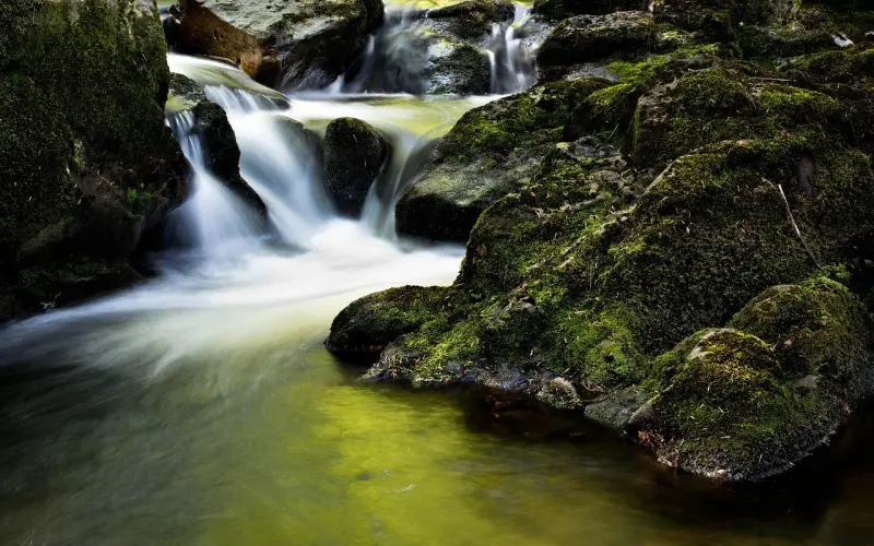 骗婚——长期投资的红包婊
