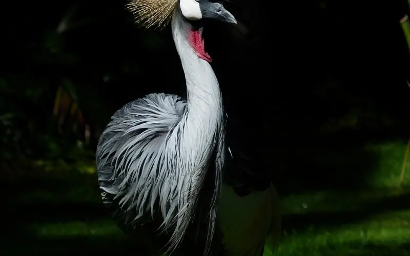 婚姻相处最怕缺少这几样东西，你的是不是呢？