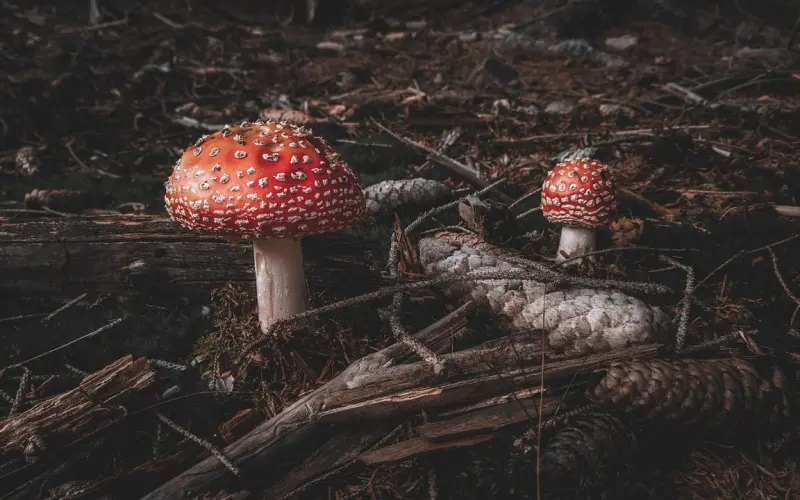 结婚，到底是为了什么？很真实。