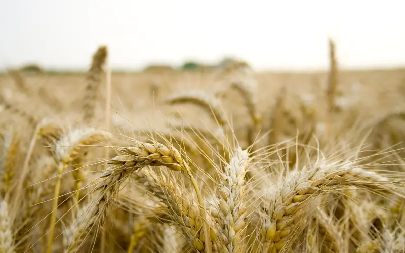 成熟的爱情观：一个人自在，两个人舒服