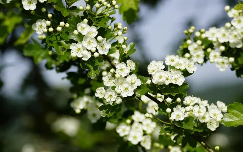 五月线下活动，等你来参加！
