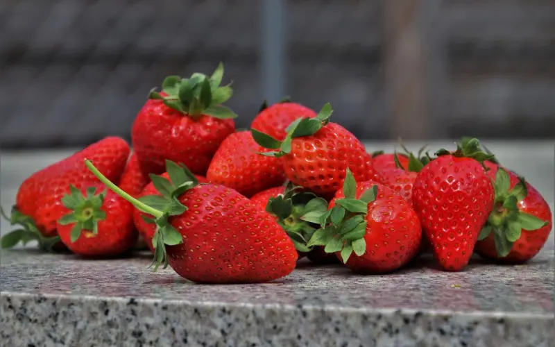 愿你能奋不顾身爱上一个人