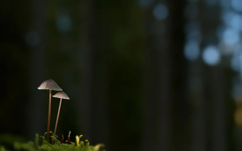 也许我们不能成为夫妻，但是可以相爱一生！真是太惨了！