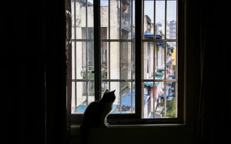 满足这三个条件，让你的前任立马主动挽回你