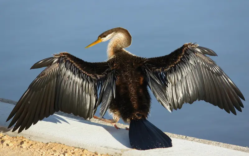 男人这四样东西，只舍得给深爱的女人，你收到了吗？