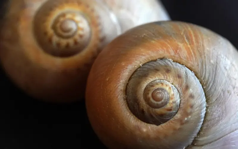 男人“不敢”做这4件事，不是害怕你，而是深爱着你！