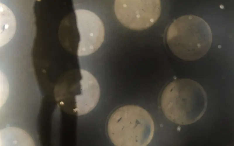 男人不敢告诉你这个秘密，一句话决定挽回的成败