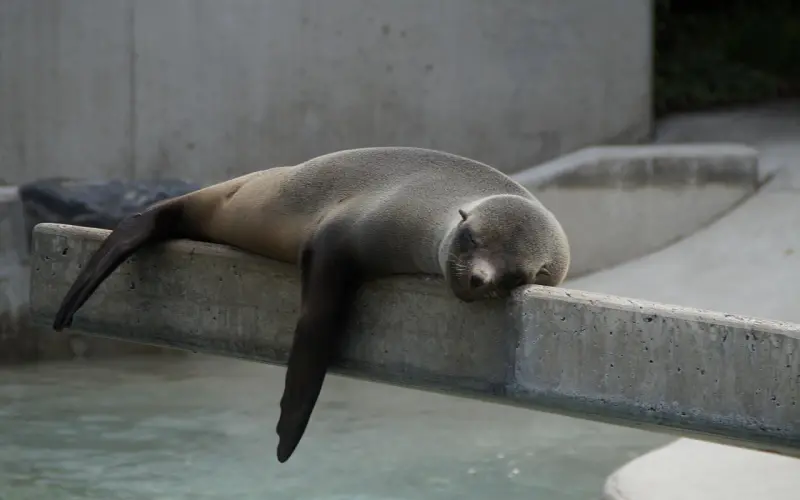 男人怠慢你是因为你......