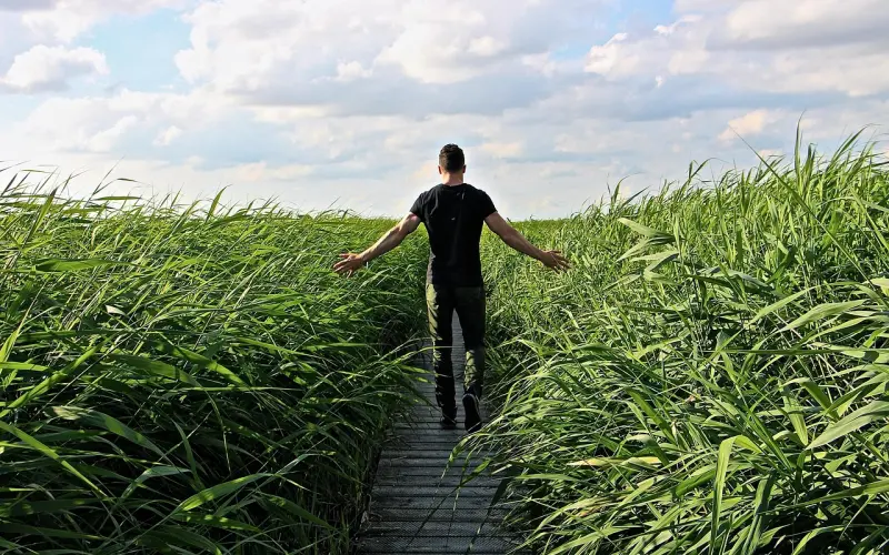 男人注意了，这步一走垃圾永久！