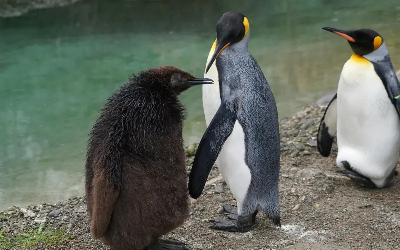 不能删除前女友的男人，不能要