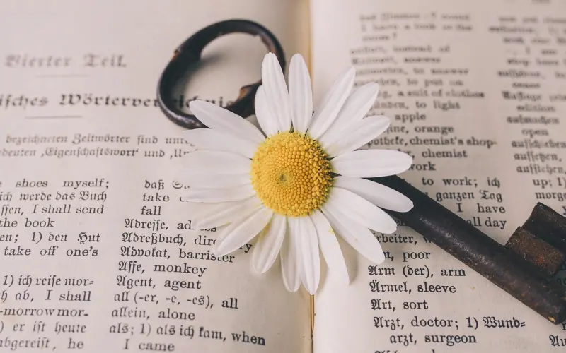 男人，花一辈子也忘记不了这四种女人，尤其是最后一位