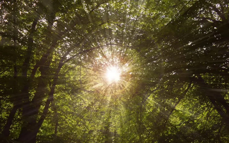男人永远不会告诉你这三个秘密，漂亮的挽回翻身仗全靠它了