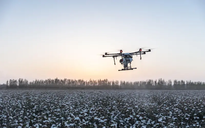 男人的情感禁区，一旦违背我劝你还是放下吧