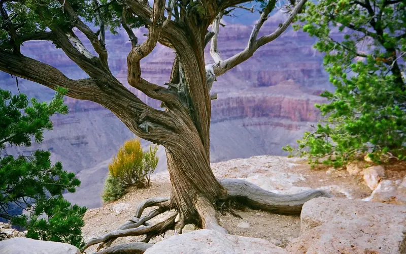 男人决绝分手心里学，让你走出情感低谷