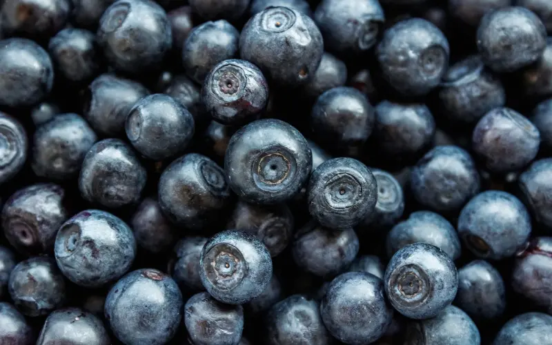 心态决定健康！身体是最重要的，一定要有个良好的心态啊！朋友们！