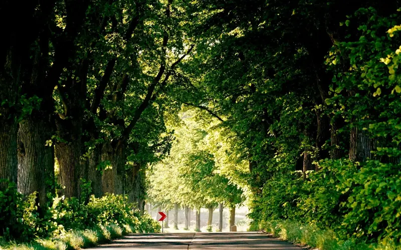 成功挽回婚姻的方法：怎么做到重新吸引老公， 女人们注意了